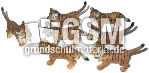 Tiger-1+6.jpg